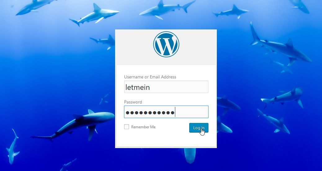 Sharks around WordPress Login Form