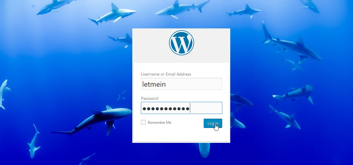 Sharks around WordPress Login Form